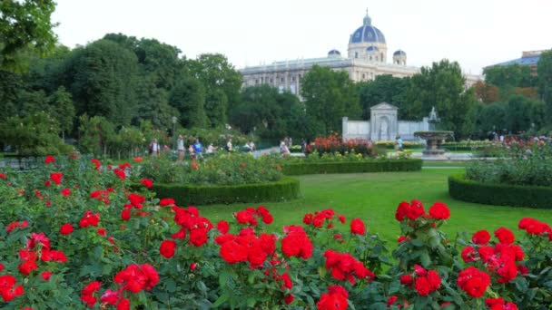 Zahrada v blízkosti Císařský palác Hofburg — Stock video