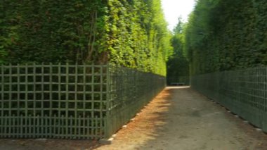 Paris Versailles Sarayı