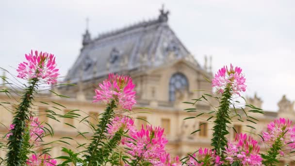 パリのベルサイユ宮殿 — ストック動画