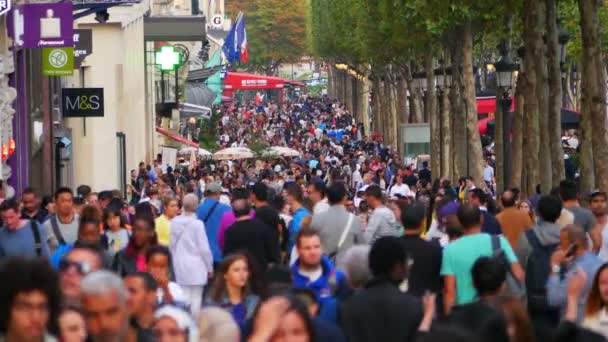 Champs Elysées in Parijs — Stockvideo