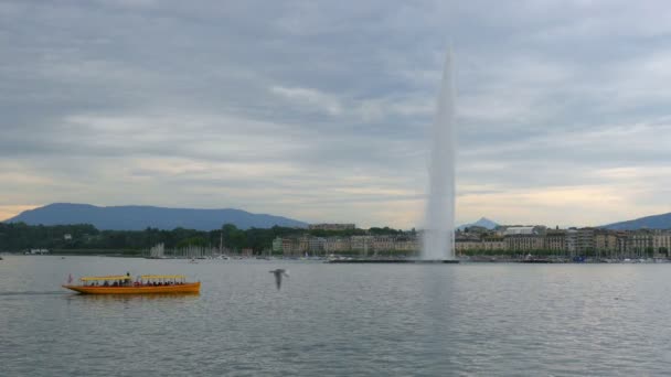 Jet deau fountain at Geneva lake — Stock Video