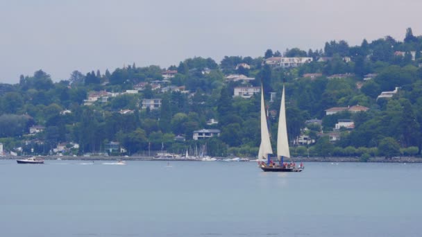 Segling vid Genèvesjön — Stockvideo