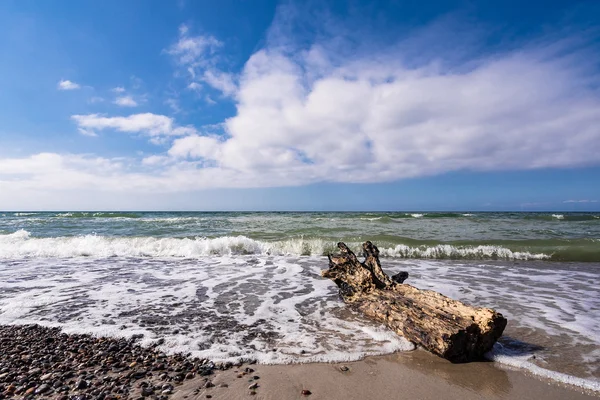 Bagagliaio sulla riva del Mar Baltico — Foto Stock