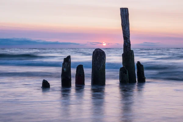 Groynes på stranden av Östersjön — Stockfoto