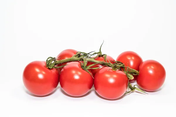 Tomates rojos aislados con fondo blanco — Foto de Stock