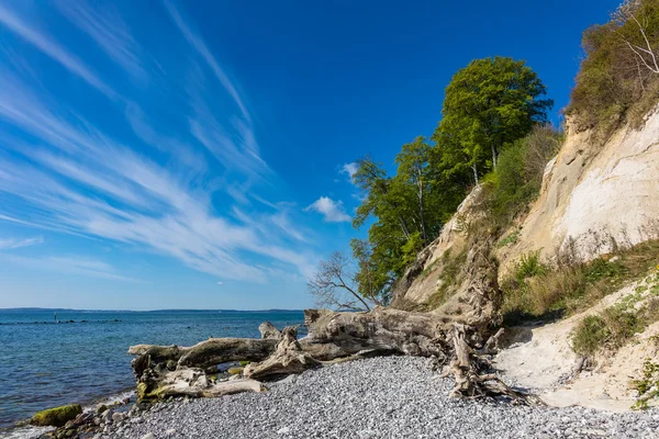 Krijt klip op het eiland Rügen — Stockfoto