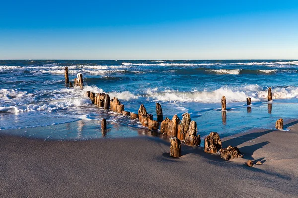 Groynes on shore of the Baltic Sea — Stock Photo, Image