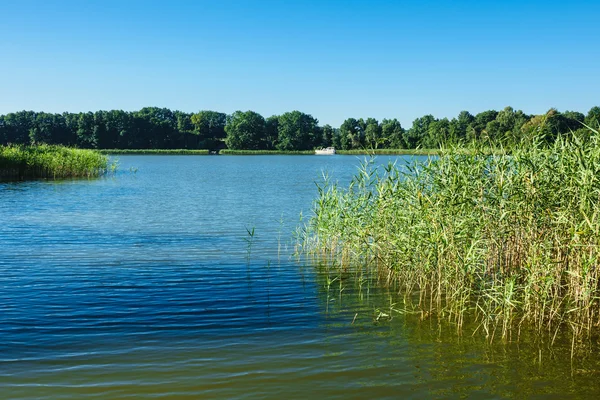 Liggend op een meer met bomen en riet — Stockfoto