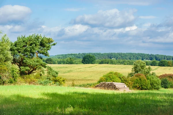 Landscape on the Mecklenburg Lake District — Stock Photo, Image