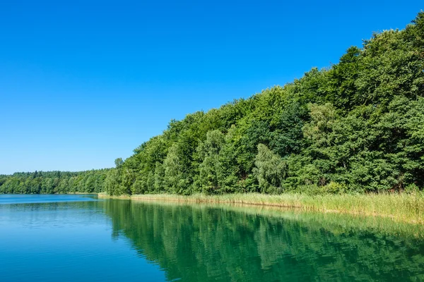 Landscape on a lake with trees — Stock Photo, Image