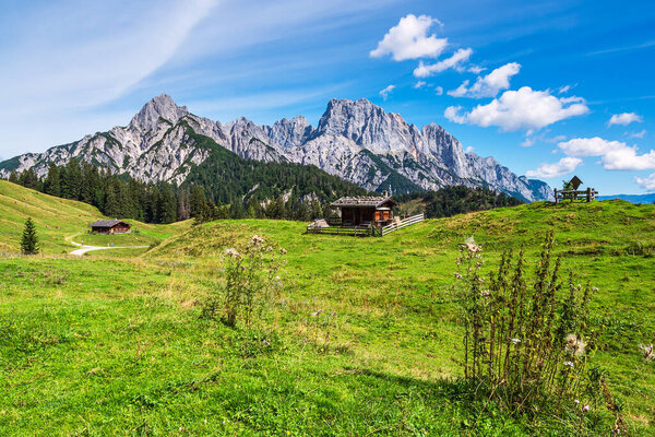 Вид на гору Лалм в Альпах, Австрия.