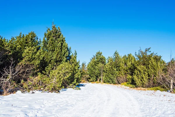 Heure Hiver Dans Les Monts Métallifères Oberwiesenthal Allemagne — Photo