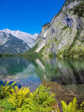 Almanya 'nın Berchtesgaden Alplerinde kayalar ve ağaçlarla Obersee Gölü.