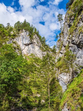 Almanya 'nın Berchtesgaden Alplerinde Gorge Almbachklamm.