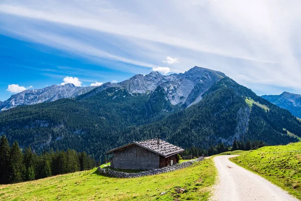 View Mountain Pasture Litzlalm Alps Austria — Stock Photo, Image