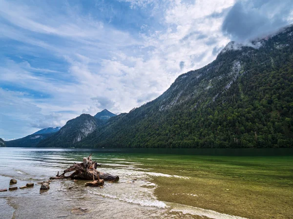 Lago Koenigssee Com Rochas Tronco Nos Alpes Berchtesgaden Alemanha — Fotografia de Stock