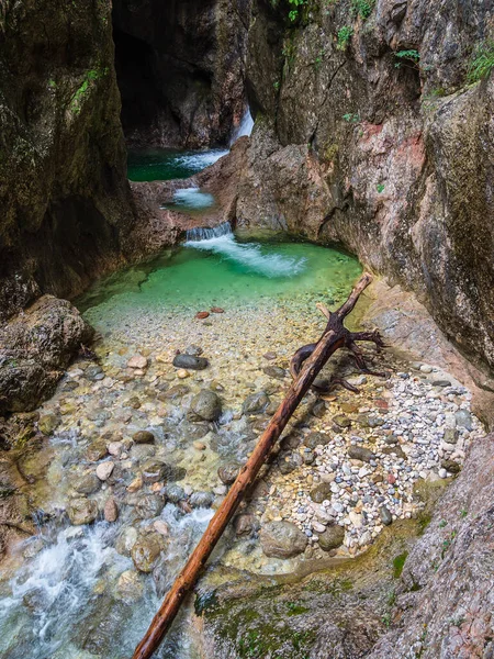 Gorge Almbachklamm Nelle Alpi Berchtesgaden Germania — Foto Stock