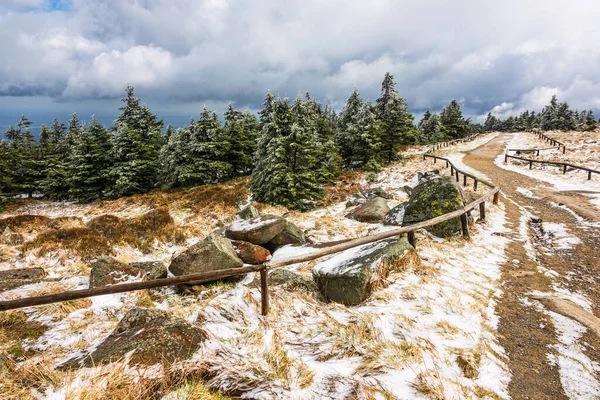 Paysage Arboré Dans Harz Allemagne — Photo