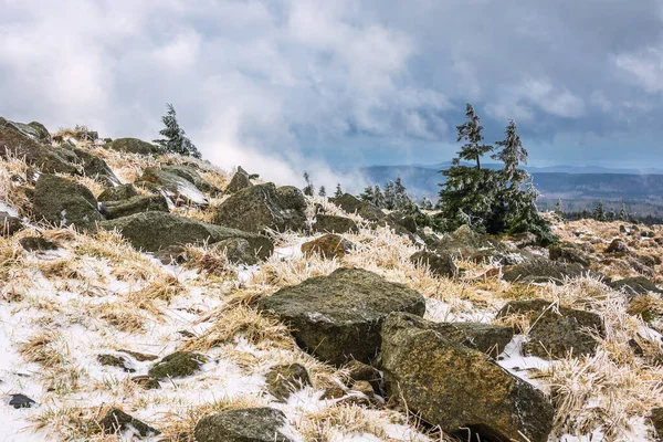 Paysage Arboré Dans Harz Allemagne — Photo