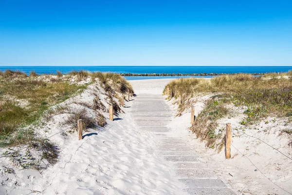 Caminho Para Praia Costa Mar Báltico Wustrow Alemanha — Fotografia de Stock