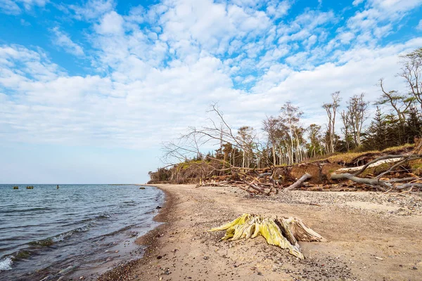 Beach Shore Baltic Sea Graal Mueritz Germany — Stock Photo, Image