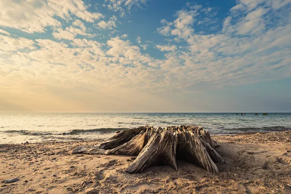 Spiaggia Sulla Riva Del Mar Baltico Graal Mueritz Germania — Foto Stock