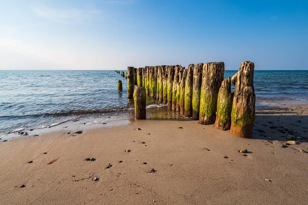 Groynes Vid Östersjön Graal Mueritz Tyskland — Stockfoto