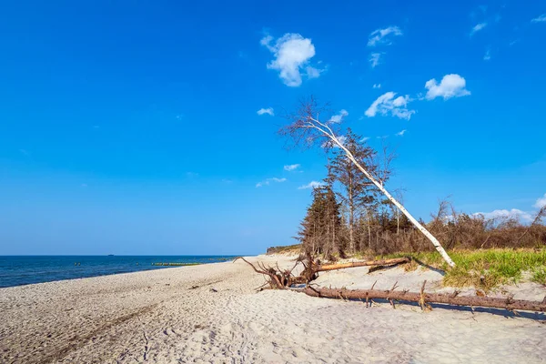 Strand Der Ostsee Graal Müritz Deutschland — Stockfoto