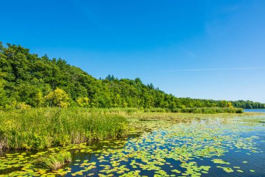 Almanya, Templin 'de bir göl manzarası.