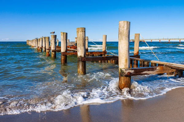 Groyne Sur Côte Mer Baltique Zingst Allemagne — Photo