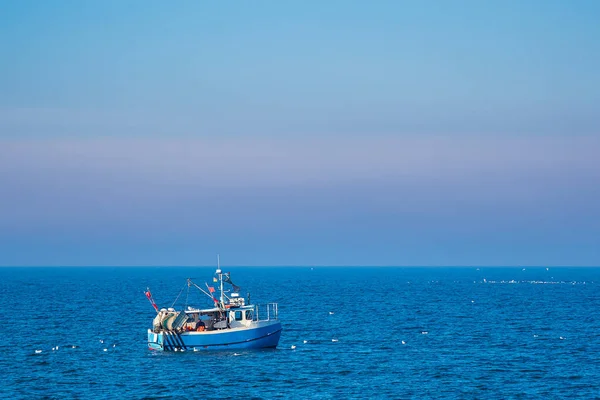 Fiskebåt Och Måsar Vid Östersjön Warnemuende Tyskland — Stockfoto