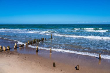 Groynes, Kuehlungsborn, Almanya 'da Baltık Denizi kıyısında.
