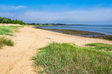 Nebel 'de çimenli plaj Amrum, Almanya.