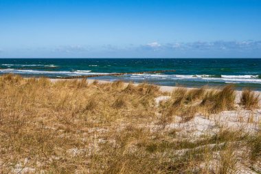 Zingst, Almanya 'da Baltık Denizi kıyısında kum tepesi.
