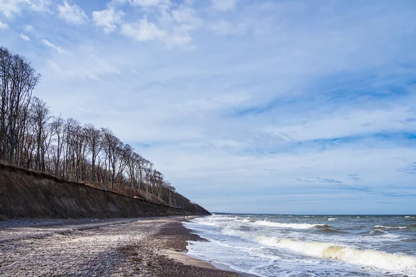 Nienhagen Almanya Baltık Denizi Kıyısındaki Beach — Stok fotoğraf