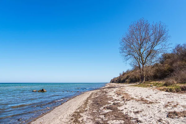 Baltık Denizi Kıyısında Poel Almanya Bir Plaj — Stok fotoğraf