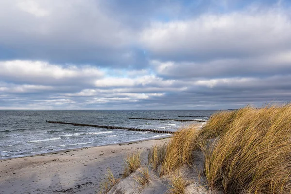 Groynes Und Düne Der Ostsee Ahrenshoop Deutschland — Stockfoto