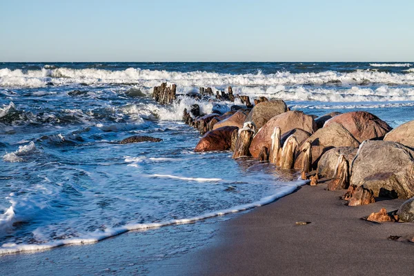 Groynes à terre — Photo