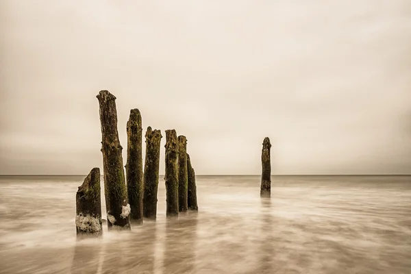 Groynes på stranden — Stockfoto