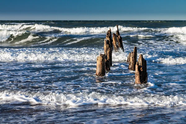 Groynes op de wal — Stockfoto