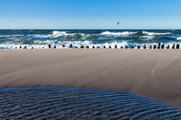 Groynes op de wal — Stockfoto