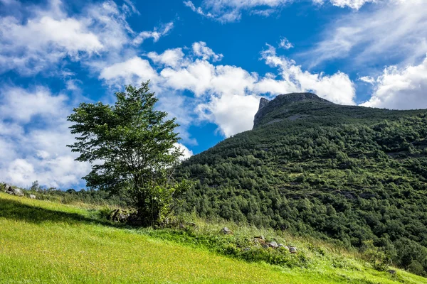 Landscape in Norway — Stock Photo, Image