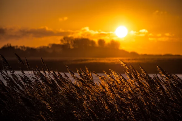 Baltık Denizi kıyısında gün batımı