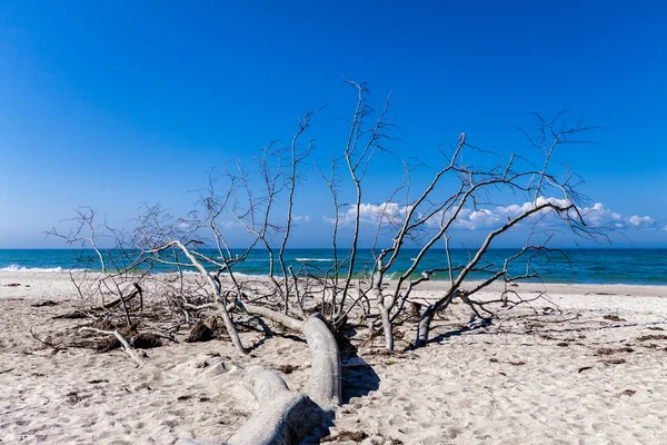 Bagagliaio sul Mar Baltico — Foto Stock