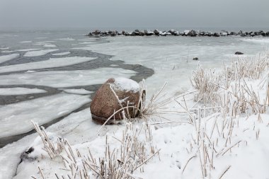 Baltık Denizi kıyısında