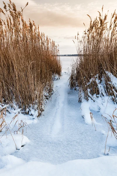 Invierno en un lago — Foto de Stock