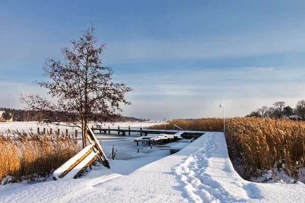 Winter in Prerow — Stock Photo, Image