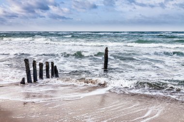 Baltık Denizi kıyısında groynes