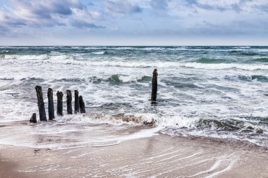 Groynes on shore of the Baltic Sea clipart
