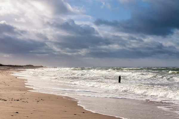 Groynes op de kust van de Baltische Zee — Stockfoto